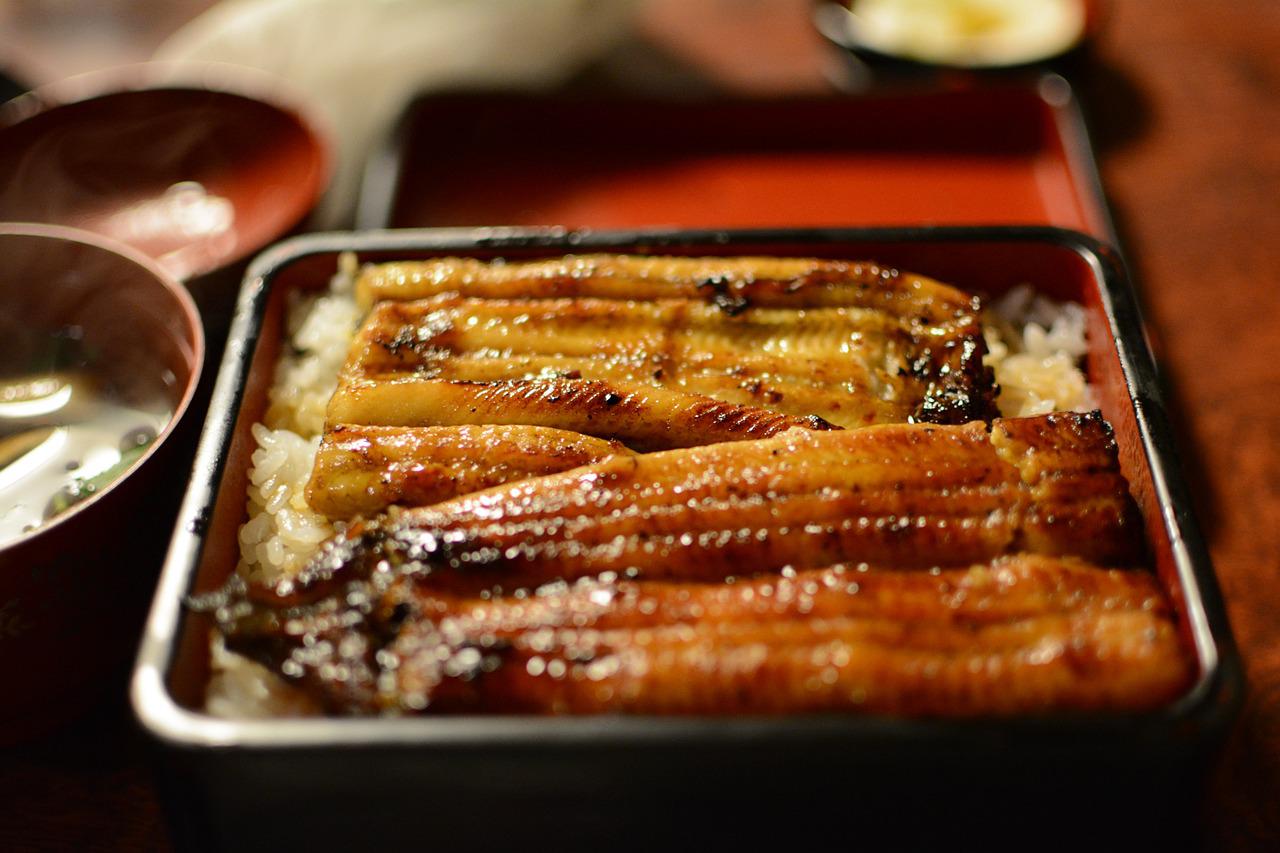 unadon, eel, japanese food-645641.jpg